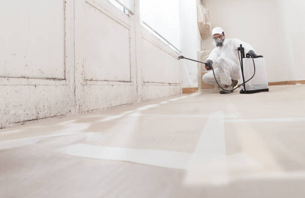 24/7 Emergency Bathroom Mold Removal experts in Lillington, NC